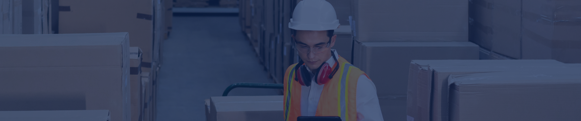 Capacitación – Módulo de Bodega